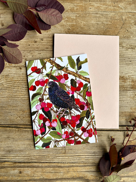 kartki okolicznościowe - wydruki Szpak w czereśniach- Kartka- Grafika- Ilustracja- Ptaki
