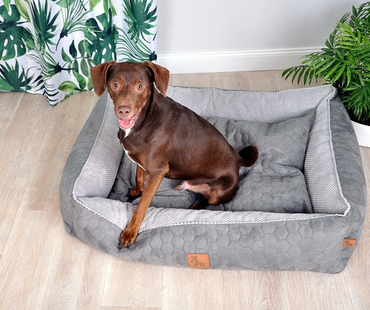 legowiska dla psów i kotów Kanapa Honey - Olga the Zebra 95x70x17