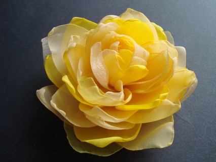 GORI SundayRose