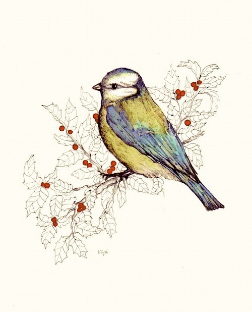 ptaki-vintage BOSKE