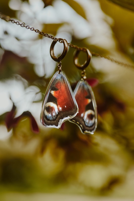 kolczyki z żywicy Kolczyki motyle rusałka pawik