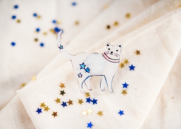 broszki Broszka gwiezdny kot