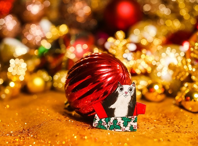 broszki Broszka kotek w świątecznym kartonie