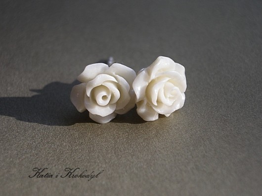 cream rose [M]  Katia i krokodyl