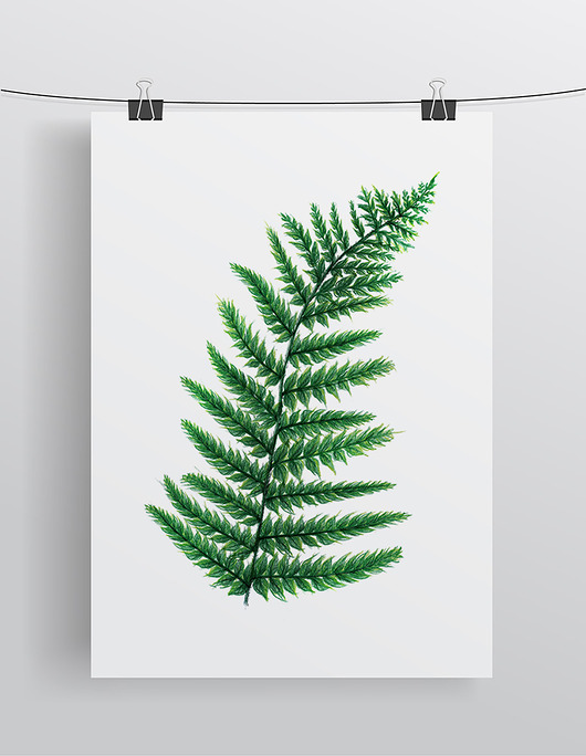 Plakat Paproć WISIMITU