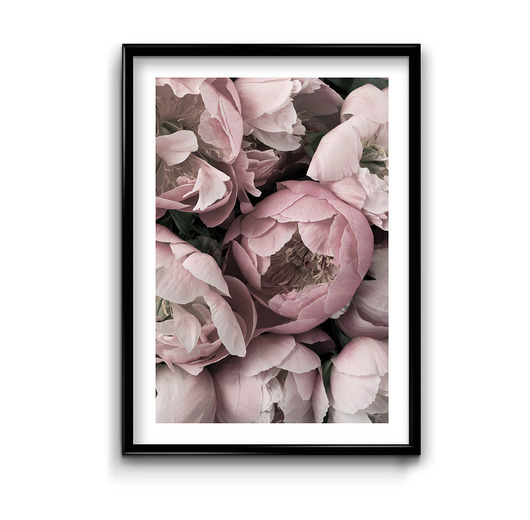 Plakat Wiosenne Tulipany  Bury Lis
