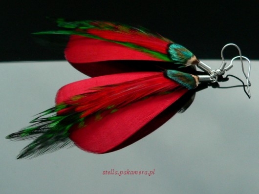 poziomki Stella