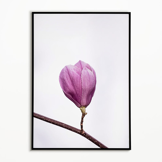 Plakat z Kwiatem Magnolii - Plakat skandynawski Bajkowe Obrazki