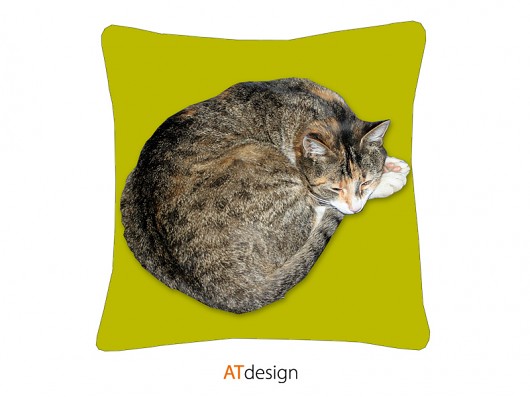 kot dla alergika 40cm :)poszewka AT design