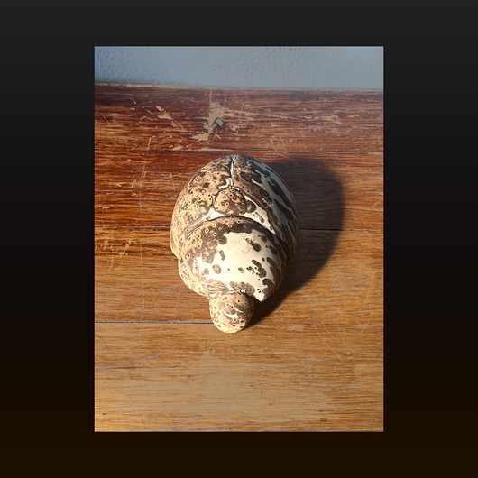 figurki i rzeźby Rzeźba ceramiczna - Skarabeusz
