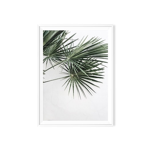 plakaty Plakat skandynawski Liście Palmy