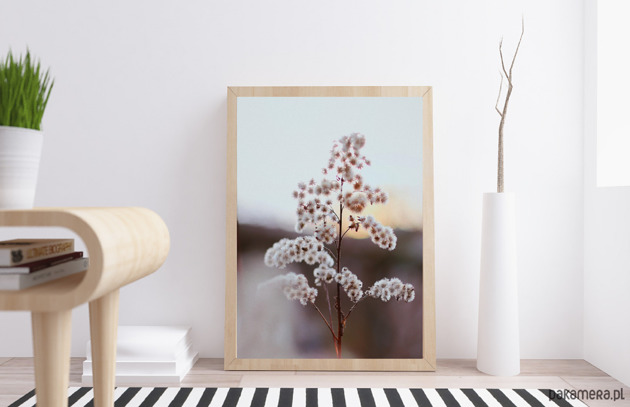 PLAKAT trawa natura minimalistyczny black dot studio