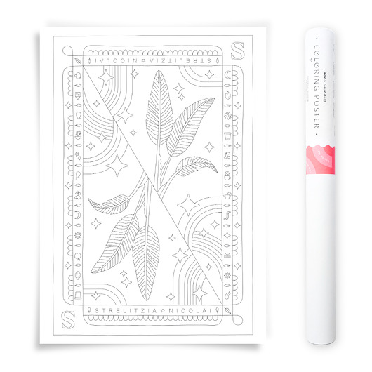 plakaty Plakat do Kolorowania Roślina Doniczkowa Strelicja 50x70cm