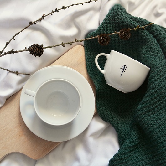 Zestaw TREE filiżanka + mini spodek my mug company
