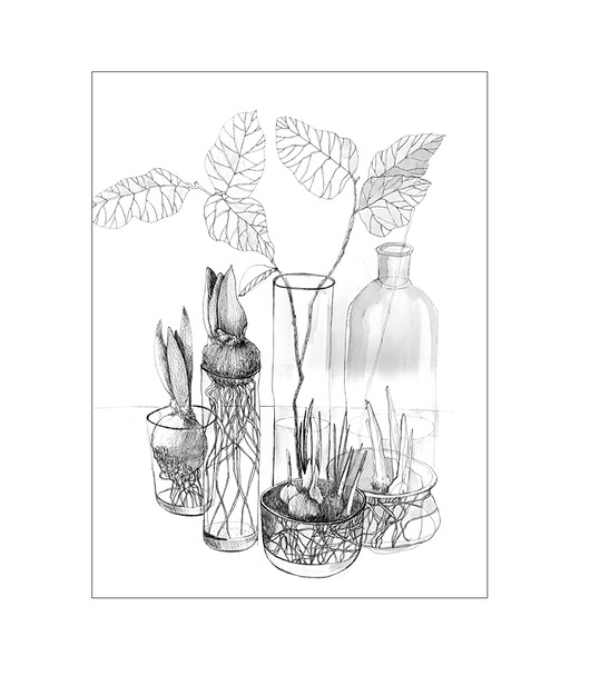 PLANTS  plakat/poster, wydruk cyfrowy Margo Hupert