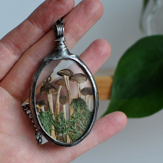 wisiory Las i Grzybki