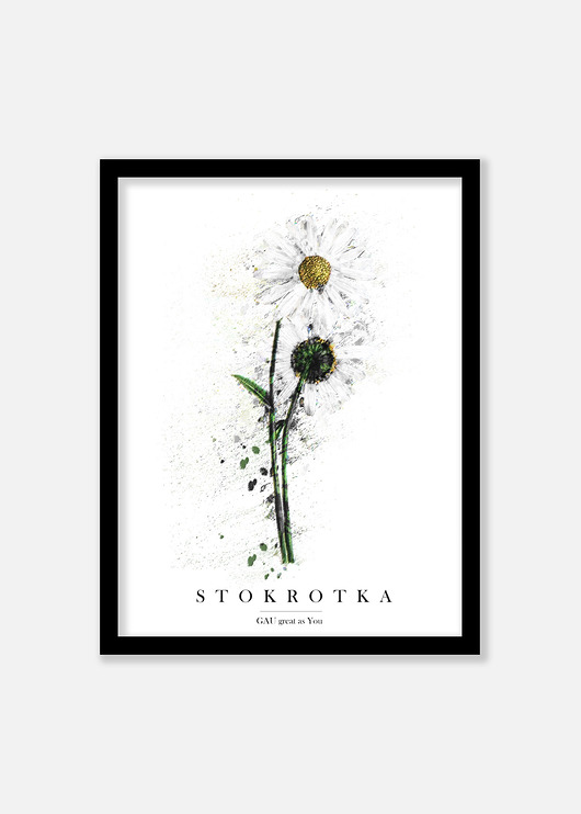 STOKROTKA Plakat GAU Home