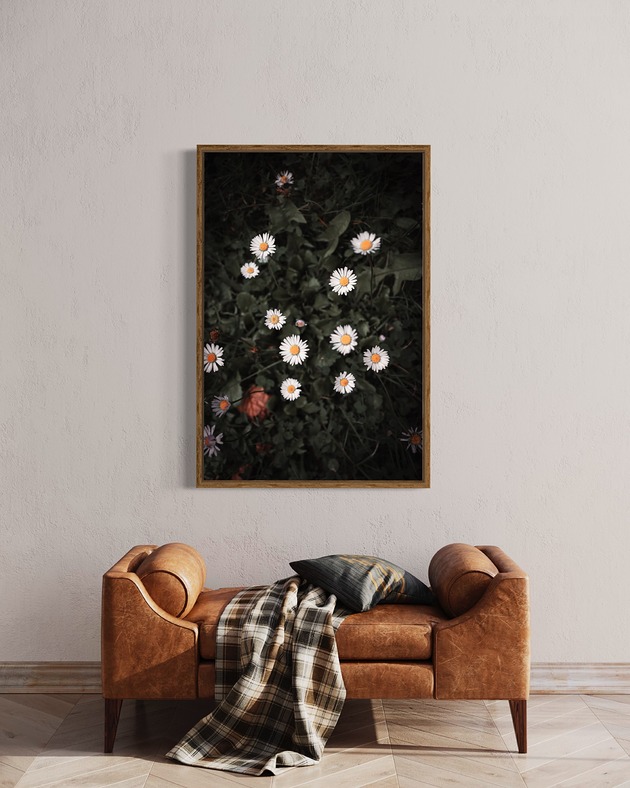 plakaty Plakat Stokrotki