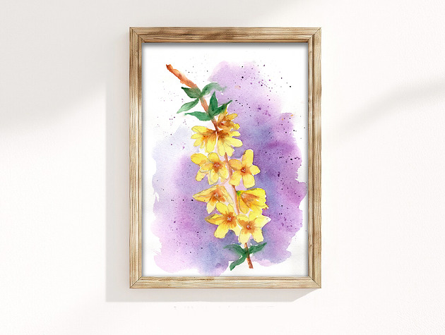 obrazy Oryginalna akwarela. Forsycja A4
