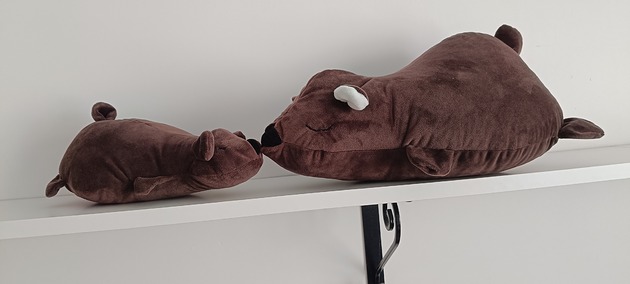 przytulanki dla niemowląt i dzieci Niedźwiadek maskotka personalizowana