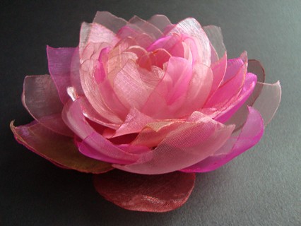 SOCZYSTA LANGRODA_ZAMÓWIENIE SundayRose