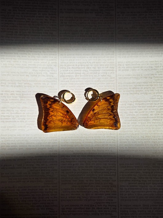 kolczyki z żywicy Kolczyki bursztynowe motyle Charaxes bernardus