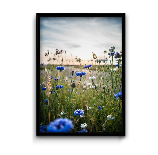 Chabry - plakat Bury Lis