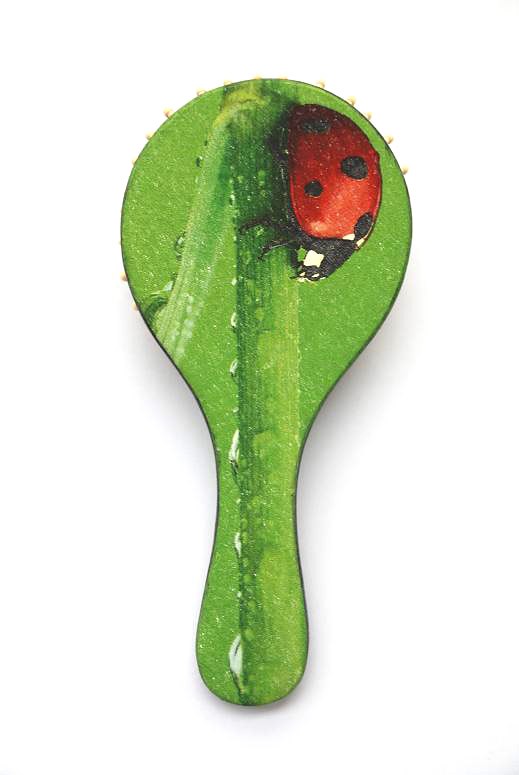 Biedronka artrachela