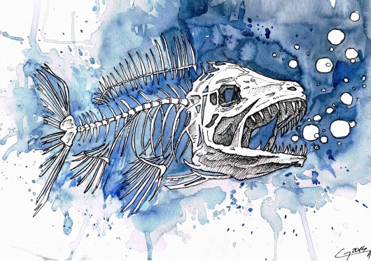 Fish Skeleton Mini MG Illustration