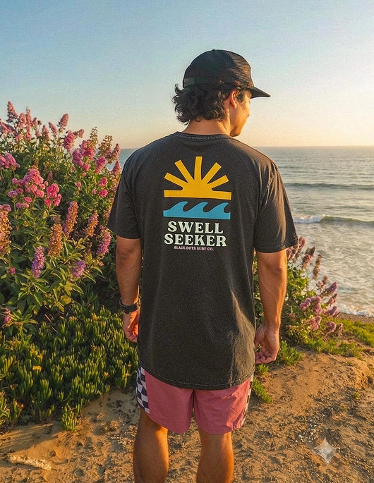 t-shirty męskie Koszulka Swell seeker
