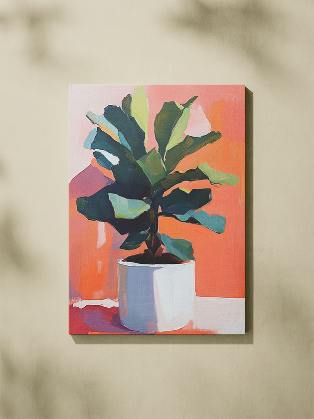 obrazy Ficus lyrata - Obraz na płótnie