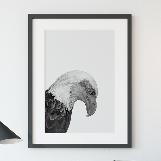 Plakat Orzeł - 50x70cm ScandiMyLove