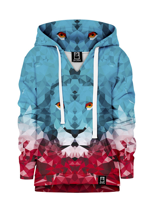 bluzy dla chłopców Bluza Chłopiec DR.CROW Lew Trójkąt