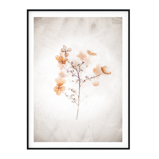 Plakat skandynawski White no. 2 myscandi