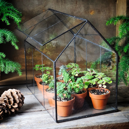 dodatki - różne Mini szklarnia Windowsill Forest