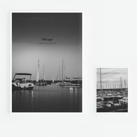 grafiki i ilustracje Drzewa zestaw plakatów:  50x70, 30x40