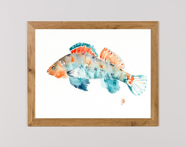 obrazy Oryginalna akwarela. Ryba