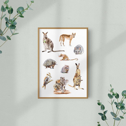 grafiki i ilustracje Zwierzęta australijskie - ilustracja