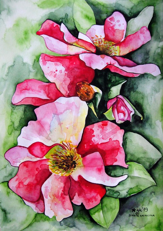 obrazy Kwiaty wśród zieleni