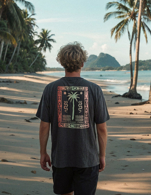 t-shirty męskie Koszulka astek