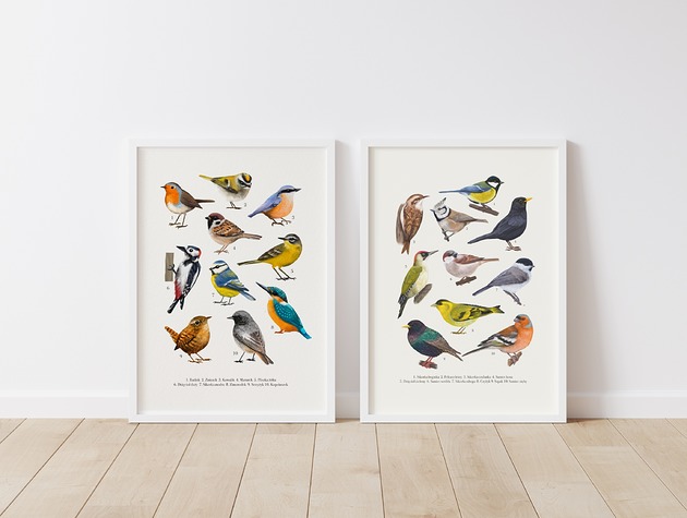 plakaty Plakat Zestaw "Ptaki" I i II 30x40 cm