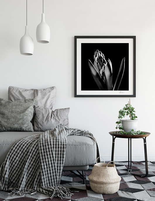 Autorska fotografia, kwiaty studium III MYK STUDIO