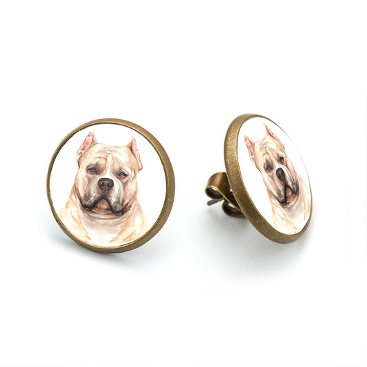 kolczyki - inne Kolczyki sztyfty AMERICAN BULLY rasowy pies