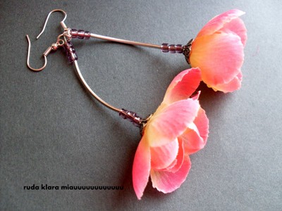 magnolie ruda klara