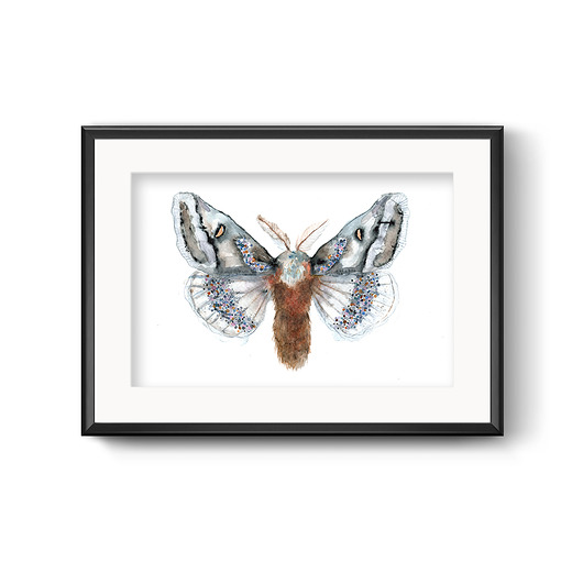 grafiki i ilustracje Ćma futrzasta, 21x30cm, A4