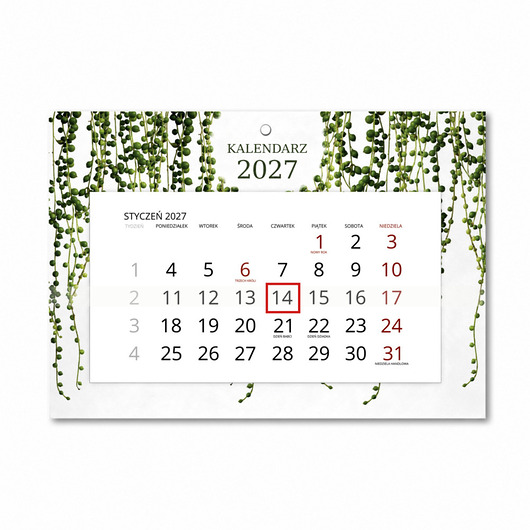 kalendarze i plannery Kalendarz Ścienny Pojedynczy 2027 Botaniczny A4