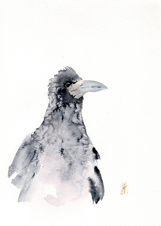 obrazy Oryginalna akwarela. Gawron