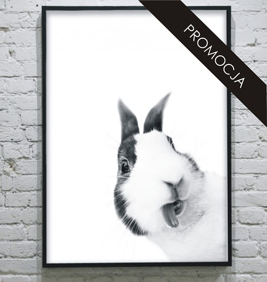 ZAJĄCZEK- poster 30x40 cm KOKO by HOKO