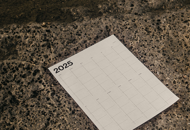 kalendarze i plannery Kalendarz ścienny 2025 / wzór 1