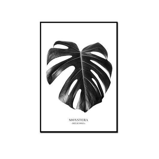Plakat MONSTERA B&W muybien
